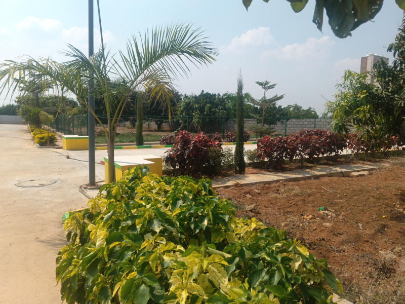  Commercial Land 2030 Sq.ft. for Sale in Vemagal, Kolar
