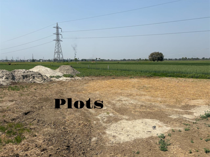  Residential Plot 1200 Sq.ft. for Sale in Bakhtiarpur, Patna