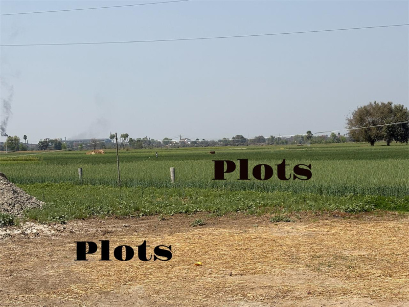  Residential Plot 1200 Sq.ft. for Sale in Bakhtiarpur, Patna