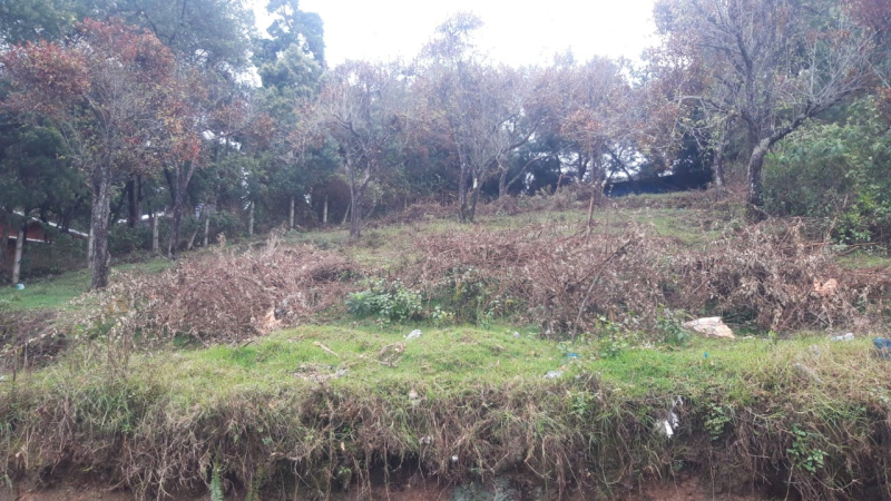  Residential Plot 8 Cent for Sale in Pambarpuram, Kodaikanal