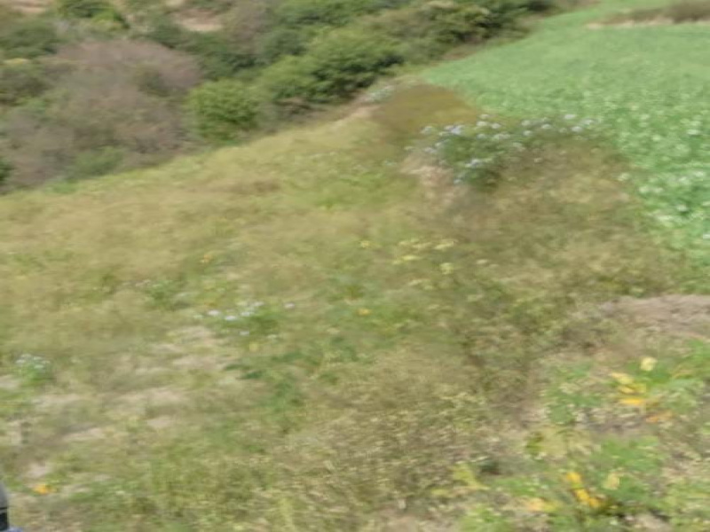 Additional property image - Theog, Shimla