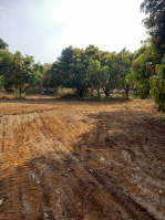  Residential Plot for Sale in Neral, Raigad
