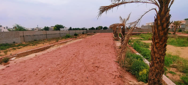  Residential Plot 100 Sq.ft. for Sale in Rohta, Agra