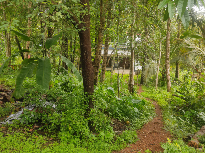  Residential Plot 12 Cent for Sale in Payyannur, Kannur