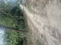 Residential Plot for Sale in Sidhauli, Sitapur