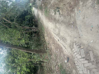  Residential Plot for Sale in Sidhauli, Sitapur