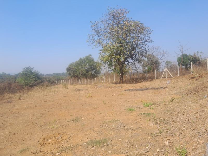  34848 Sq.ft. Agricultural/Farm Land for Sale in Badlapur Gaon, Thane