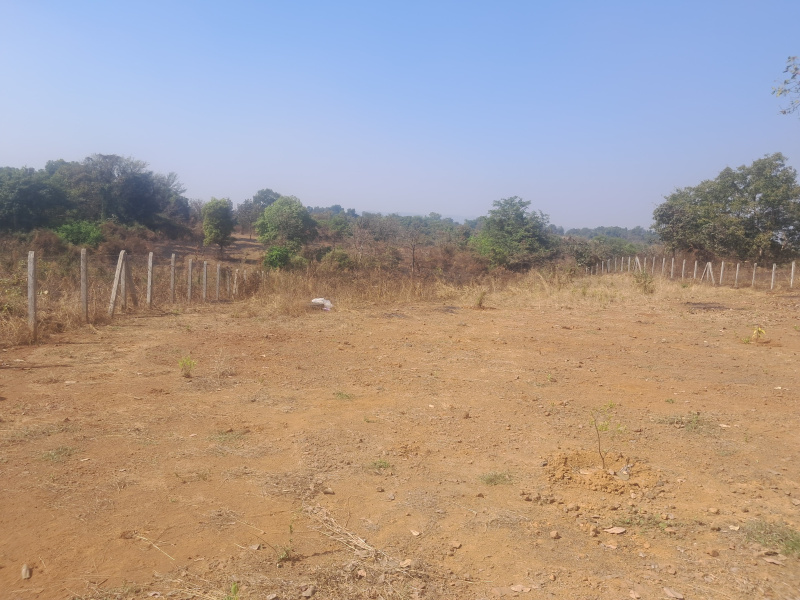  34848 Sq.ft. Agricultural/Farm Land for Sale in Badlapur Gaon, Thane