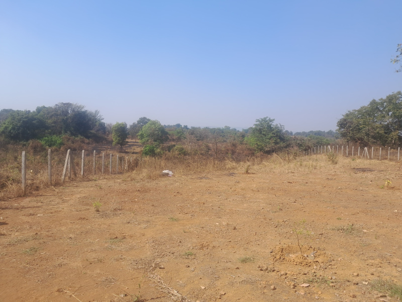  34848 Sq.ft. Agricultural/Farm Land for Sale in Badlapur Gaon, Thane