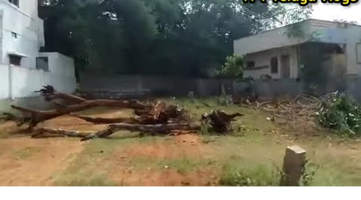  Residential Plot 5 Cent for Sale in Yemmiganur, Kurnool