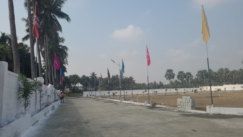  Residential Plot 1300 Sq.ft. for Sale in Pollachi, Coimbatore