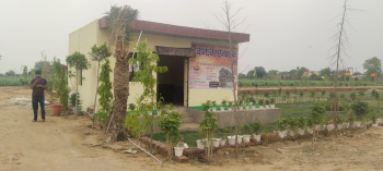  Residential Plot for Sale in Jewar, Gautam Buddha Nagar