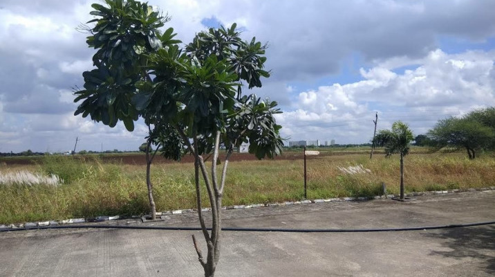  Residential Plot 1100 Sq.ft. for Sale in Super Corridor, Indore