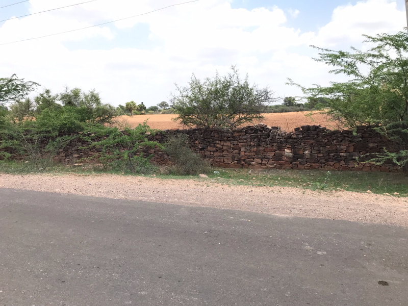  Agricultural Land 65 Bigha for Sale in Banar, Jodhpur