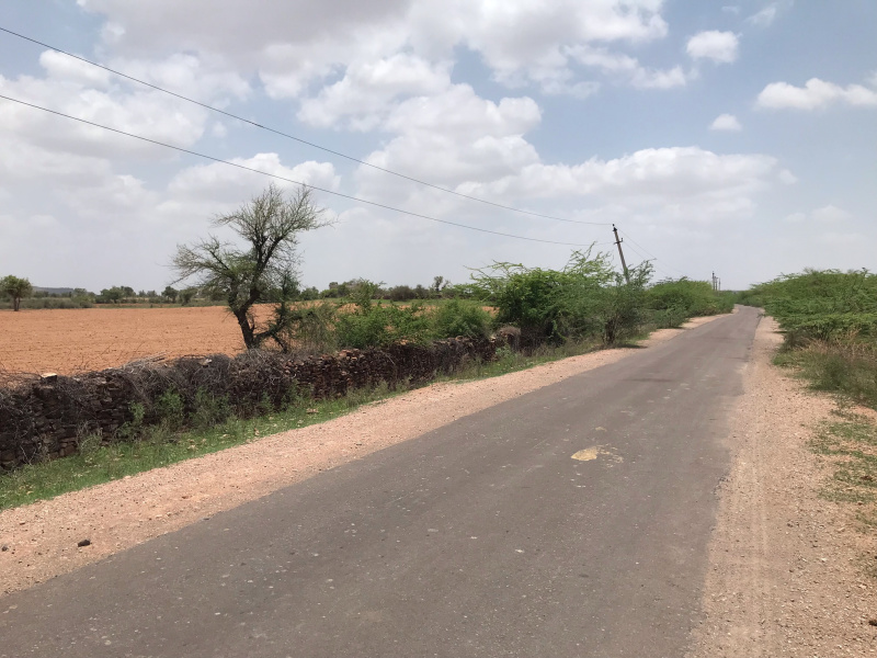  Agricultural Land 65 Bigha for Sale in Banar, Jodhpur