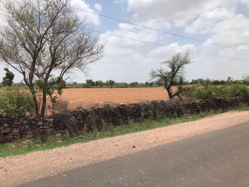  Agricultural Land 65 Bigha for Sale in Banar, Jodhpur
