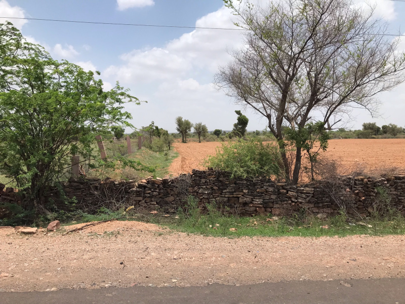  Agricultural Land 65 Bigha for Sale in Banar, Jodhpur