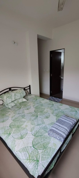 1 BHK Apartment 1300 Sq.ft. for Rent in Hinjewadi Phase 3, Pune