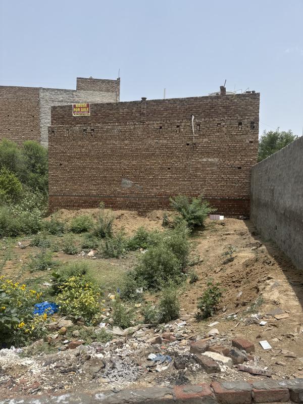 Residential Plot 1422 Sq.ft. for Sale in Abohar, Fazilka