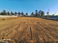 Residential Plot for Sale in Anekal Road, Bangalore