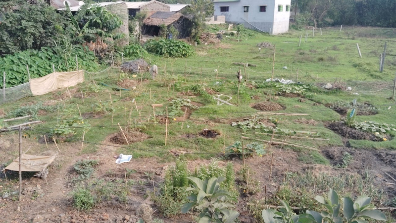  Commercial Land 10 Katha for Sale in Mankar, Bardhaman