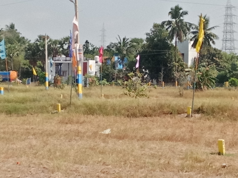  Residential Plot 1000 Sq.ft. for Sale in Minjur, Chennai