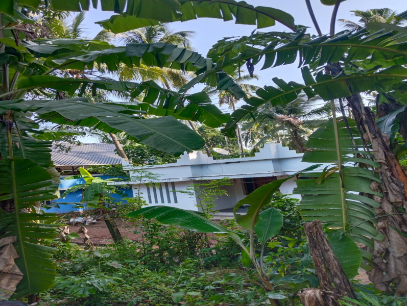  Residential Plot 8 Cent for Sale in Kunnamkulam, Thrissur