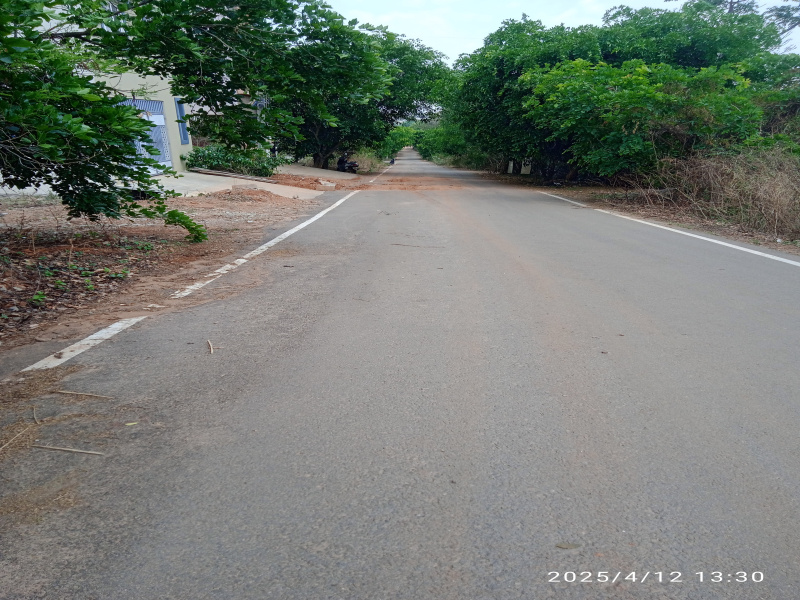 6 BHK House 4000 Sq.ft. for Sale in Sadashiva Nagar, Bangalore