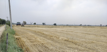  Agricultural Land for Sale in Krishna Nagar, Mathura
