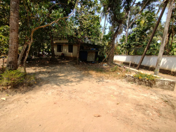  Residential Plot for Sale in Kallur, Thrissur