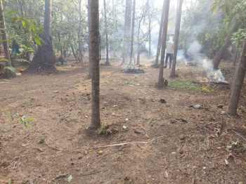  Residential Plot for Sale in Alibag, Raigad