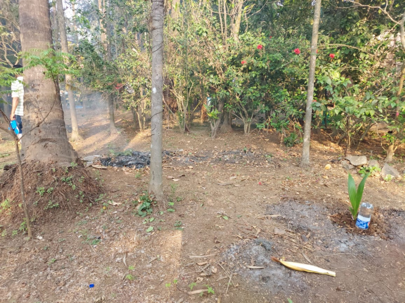  Residential Plot 19000 Sq.ft. for Sale in Alibag, Raigad