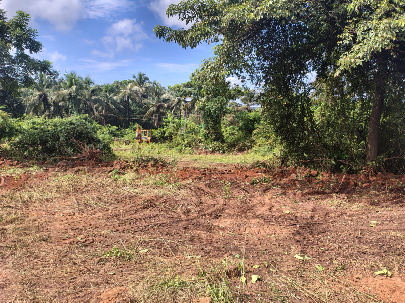  Industrial Land 5000 Sq. Meter for Rent in Cuncolim, Goa
