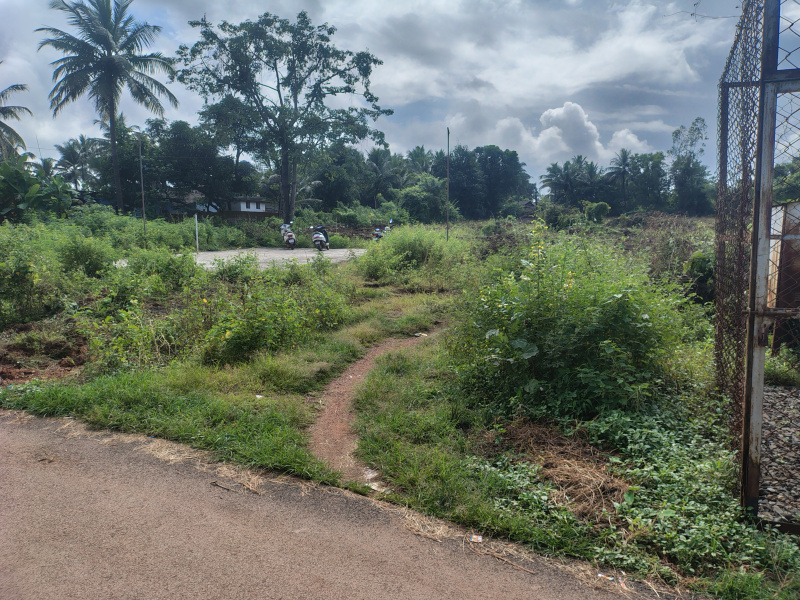  Industrial Land 5000 Sq. Meter for Rent in Cuncolim, Goa
