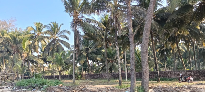  Business Center 3 Acre for Sale in Talapady, Mangalore