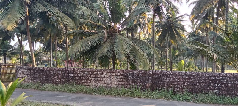  Business Center 3 Acre for Sale in Talapady, Mangalore
