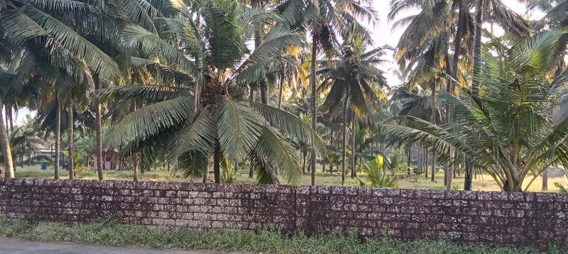  Business Center 3 Acre for Sale in Talapady, Mangalore