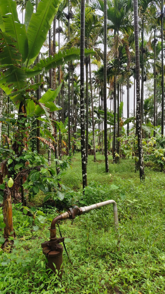  Agricultural Land 21 Acre for Sale in Challakere, Chitradurga