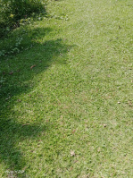 2.5 BHK House for Sale in DOHABORA, Jorhat