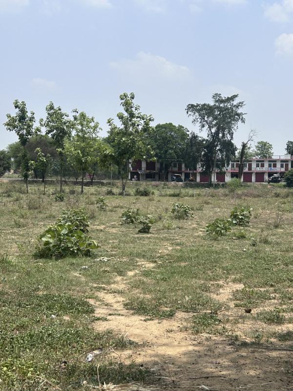  Agricultural Land 30000 Sq.ft. for Rent in Daltonganj, Palamu