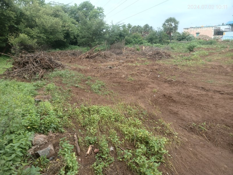  Residential Plot 2747 Sq.ft. for Sale in Rasipuram, Namakkal