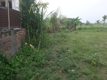  Residential Plot for Sale in Haibargaon, Nagaon