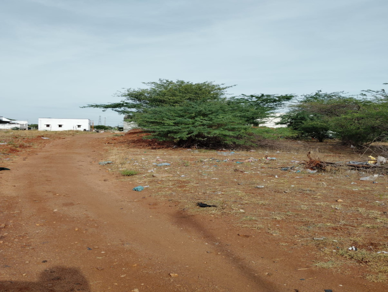  Residential Plot 3600 Sq.ft. for Sale in Pallapatti, Karur