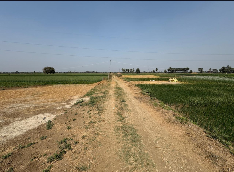  Residential Plot 1200 Sq.ft. for Sale in Bairiya, Patna