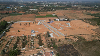  Residential Plot for Sale in Hoskote, Bangalore