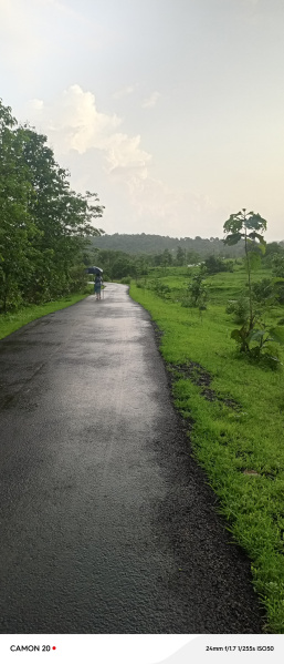  Residential Plot 6 Acre for Sale in Mangaon, Raigad