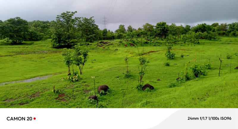  Residential Plot 6 Acre for Sale in Mangaon, Raigad
