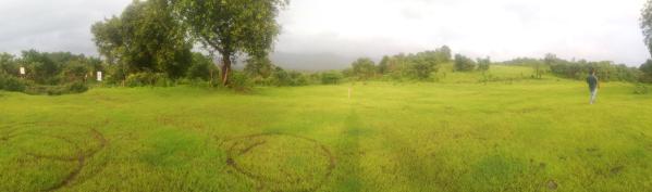  Residential Plot 6 Acre for Sale in Mangaon, Raigad