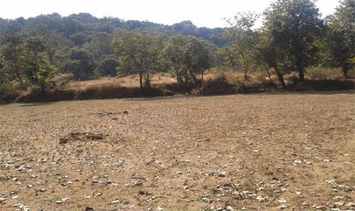  Residential Plot 10 Acre for Sale in Mangaon, Raigad