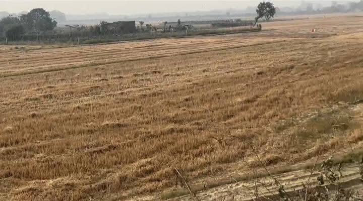  Residential Plot 1000 Sq.ft. for Sale in Maniram, Gorakhpur